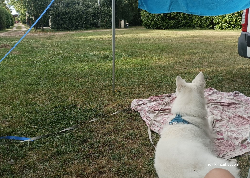 Camping Deneuvre — foto 4