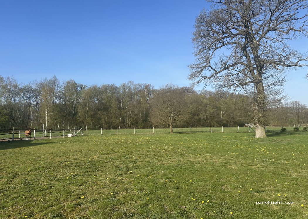 (29413) Waddekath - Dorfstrasse 15 — foto 4