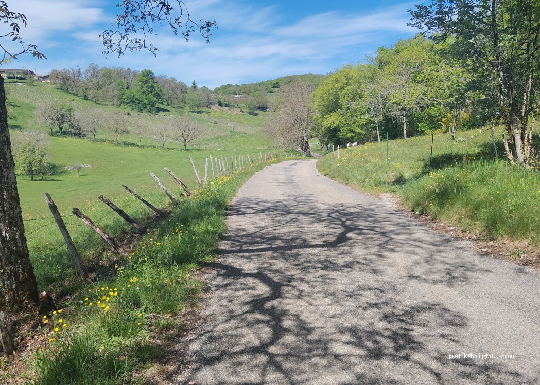 (01450) Saint-Alban - Route de Cerdon — foto 3