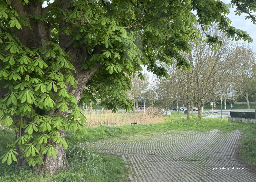 (2402ND) Alphen aan den Rijn - Unnamed Road — foto
