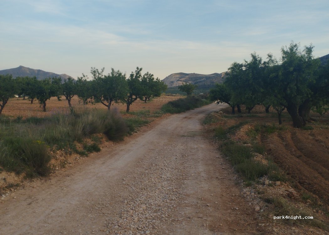 (03689) el Fondó de les Neus / Hondón de las N - Unnamed Road — foto 3