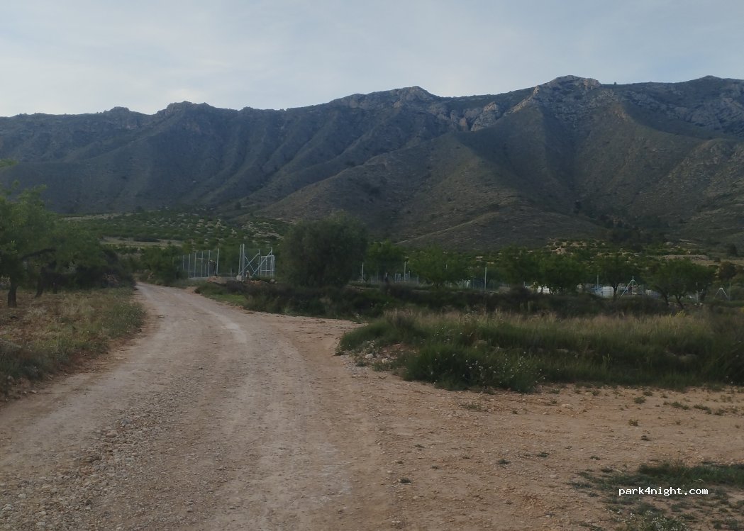 (03689) el Fondó de les Neus / Hondón de las N - Unnamed Road — foto 4
