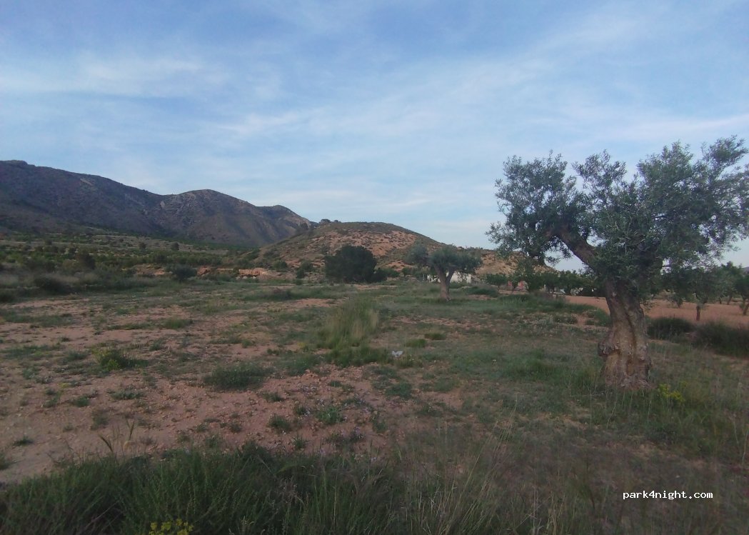 (03689) el Fondó de les Neus / Hondón de las N - Unnamed Road — foto 5