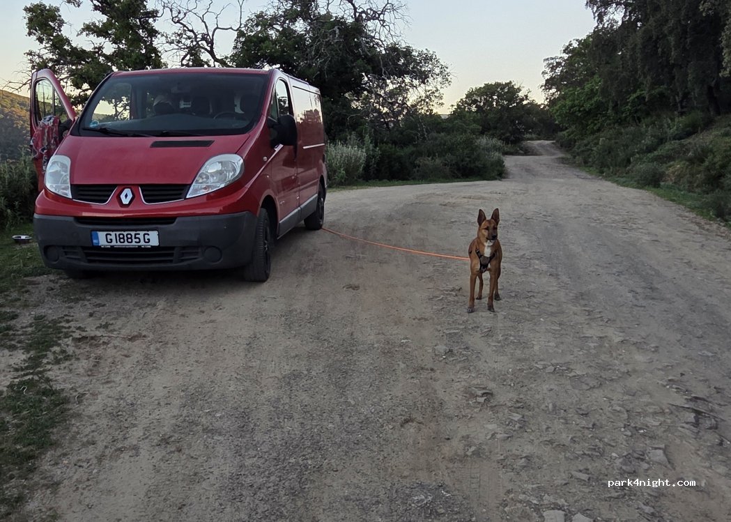 (29490) Cortes de la Frontera - Unnamed road — foto
