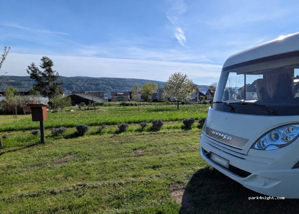 (78479) Reichenau - Im Palmenetter — foto