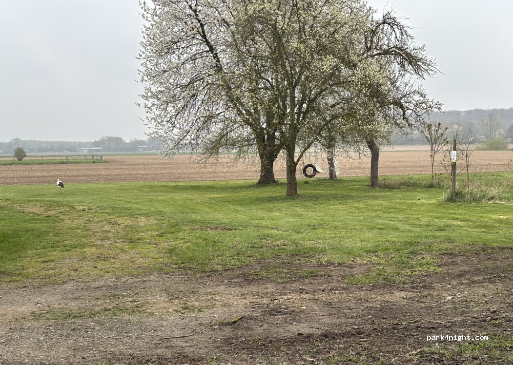(38315) Gielde - Meeschesteg — foto 3