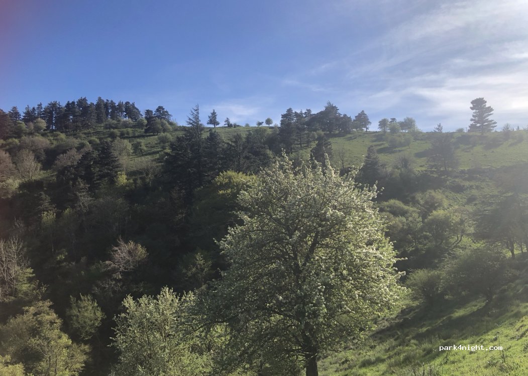 (11190) Fourtou - 2, lieu dit Marot — foto 5