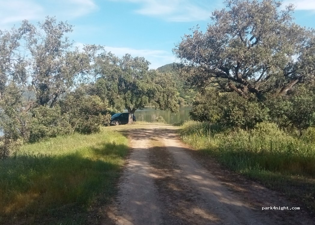 (41370) El Real de la Jara - SE-179 — foto