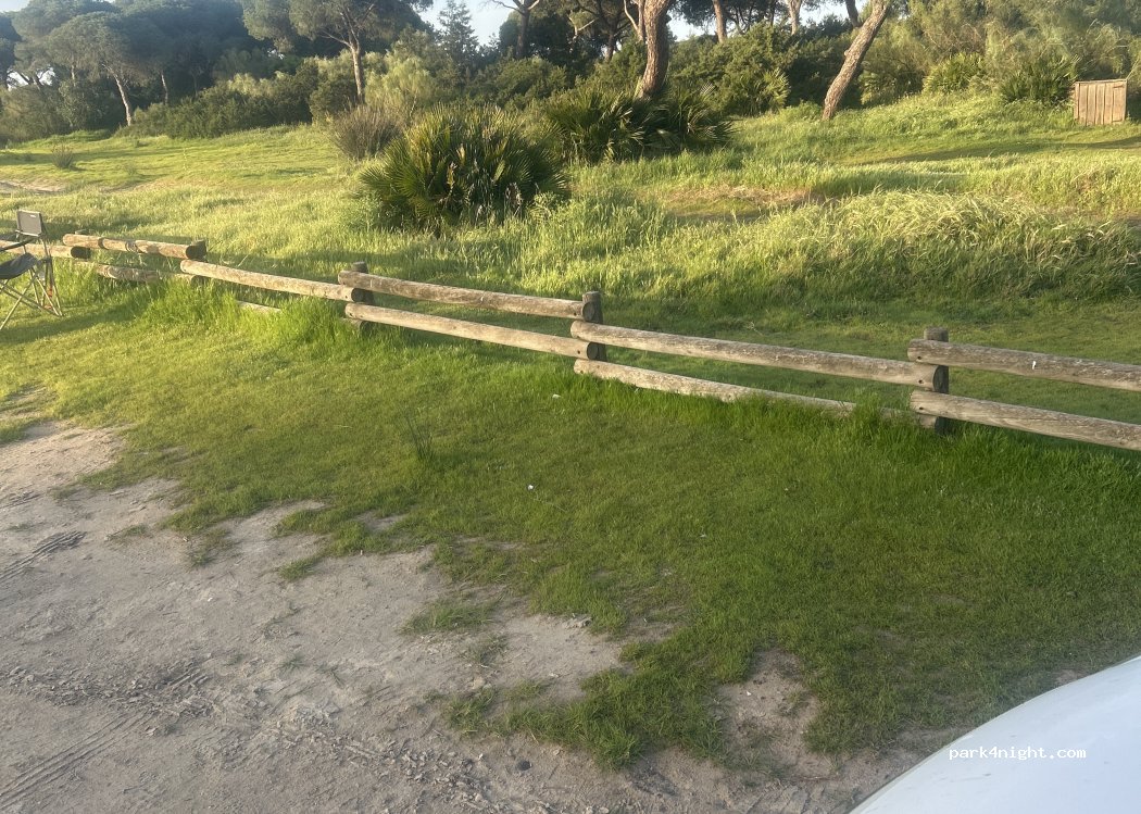 (11500) El Puerto de Santa María - Camino Tiro de Pichón — foto 2