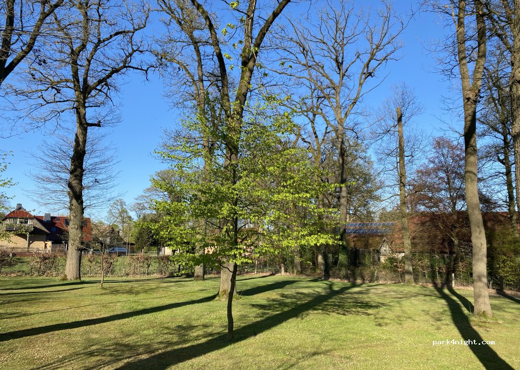 (29303) Bergen - Hassel 5 — foto 2