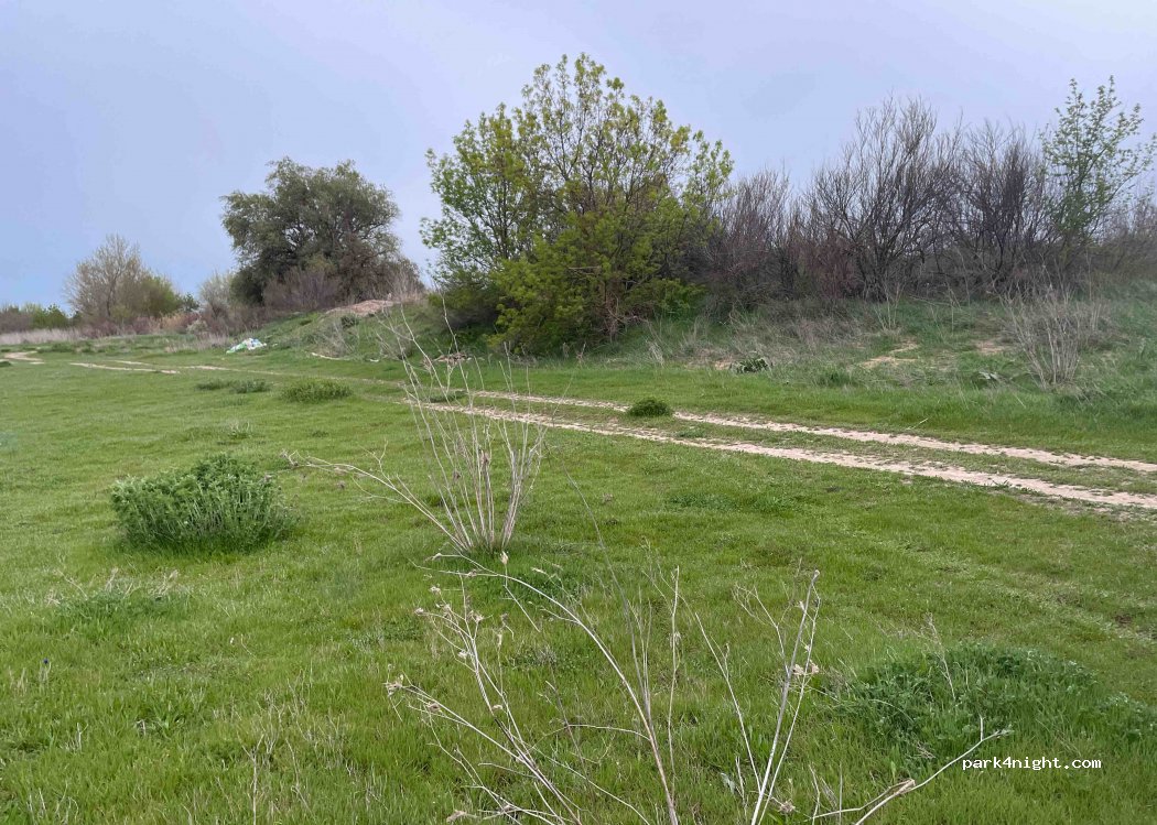 (31540) Buñuel - Unnamed Road — foto