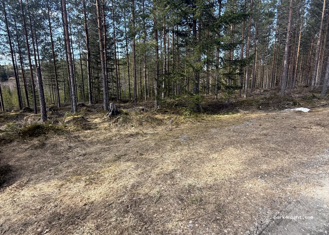 (823 92) Holmsveden - 272 — foto 2