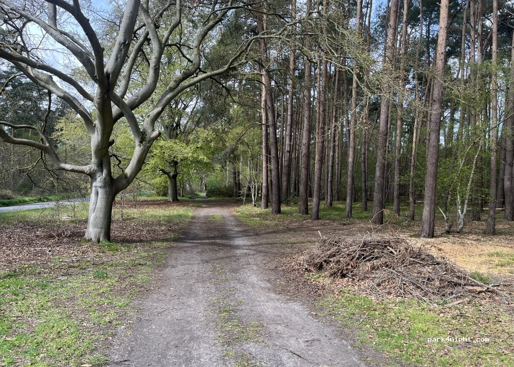 (IP28 6HX) West Suffolk - Icklingham Road — foto 4