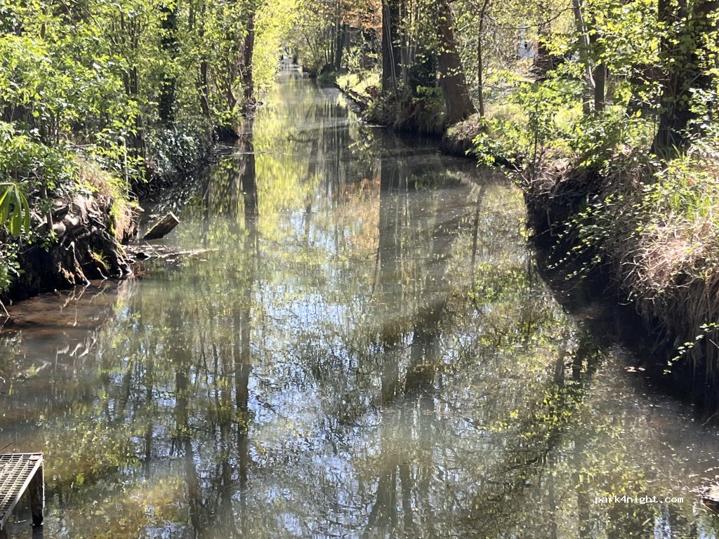 Wiese „Spreewald Nyks“ in Burg — foto 2