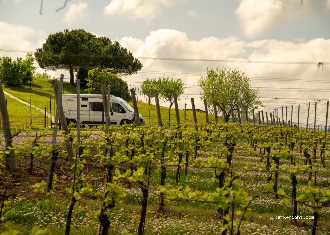 Tenuta Ballerio - Quvestra — foto 4