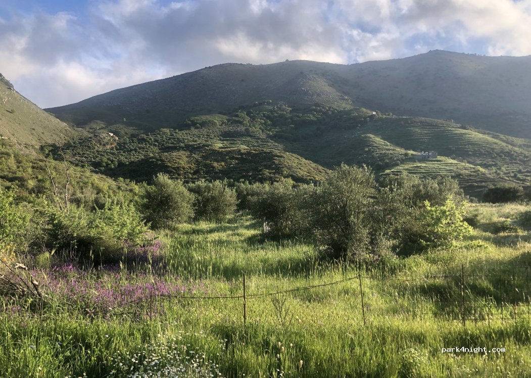 (23062) Vachos - — foto