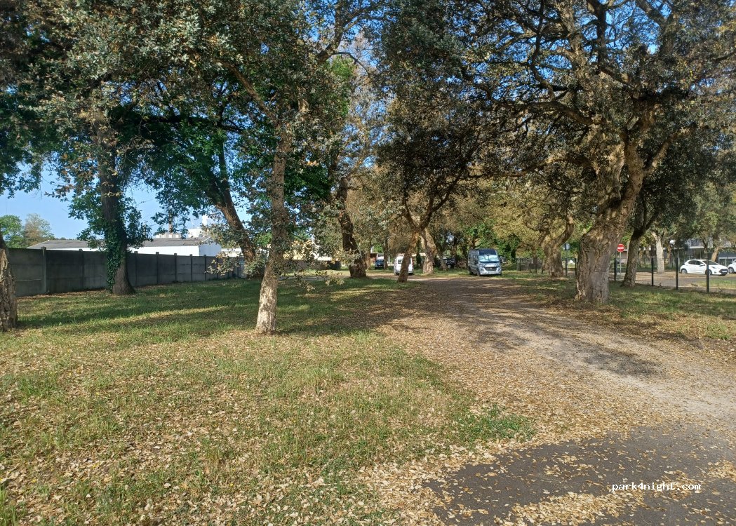 (40200) Mimizan - Route Noire — foto 2