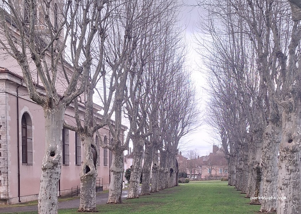 (71240) Sennecey-le-Grand - Rue de la République — foto 5