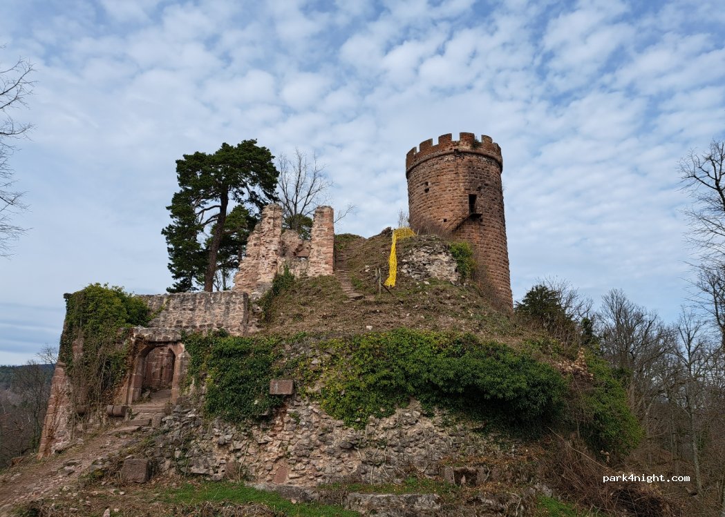 (68590) Thannenkirch - Route de Bergheim — foto 2