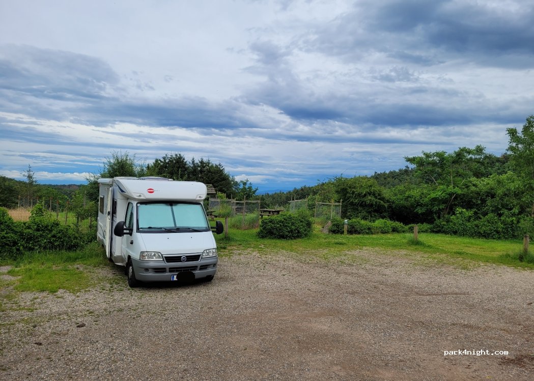 (68590) Thannenkirch - Route de Bergheim — foto 4