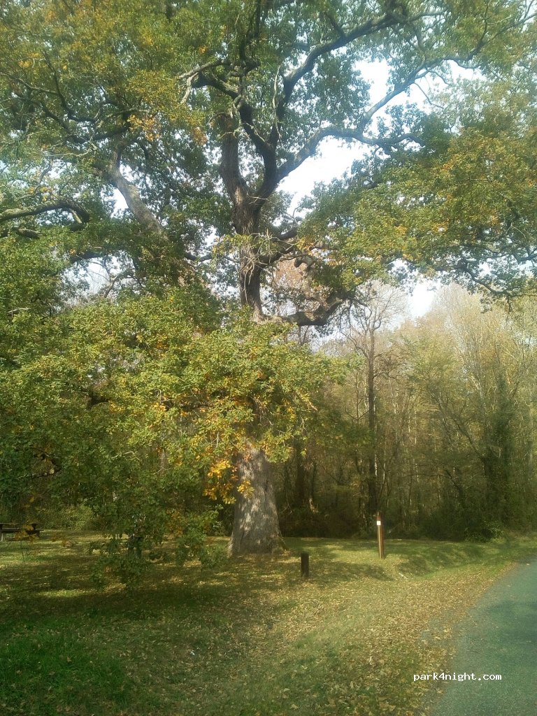 (32450) Saint-Elix - Unnamed Road — foto 3