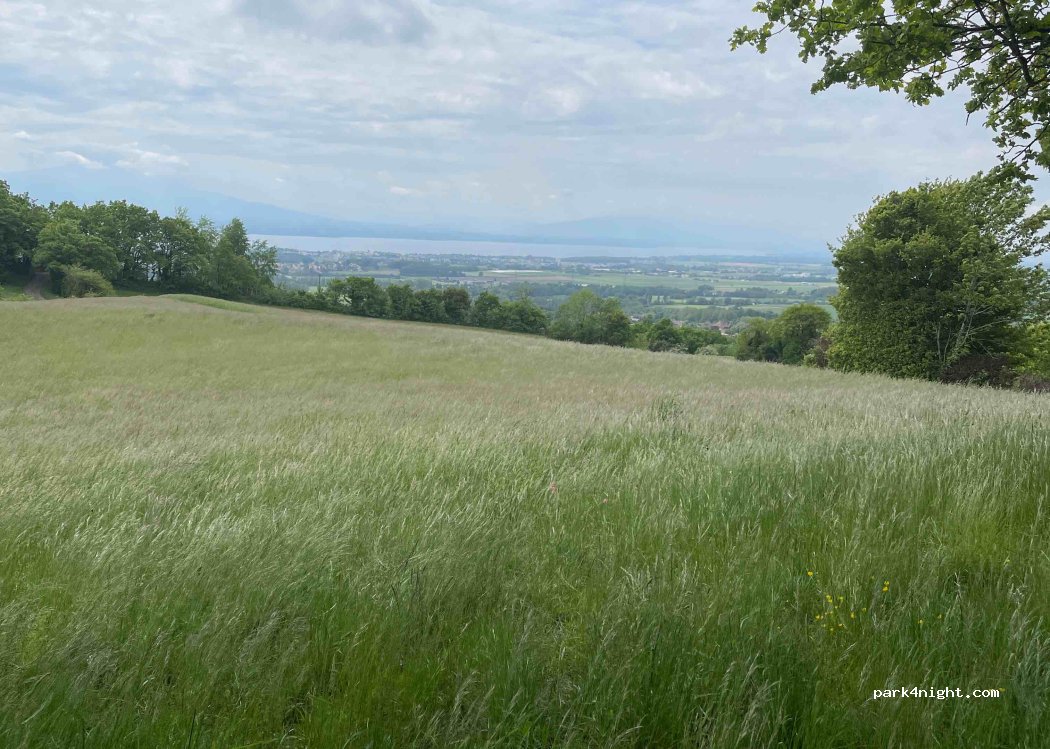 (1273) Arzier-Le Muids - Le Bochet — foto 4