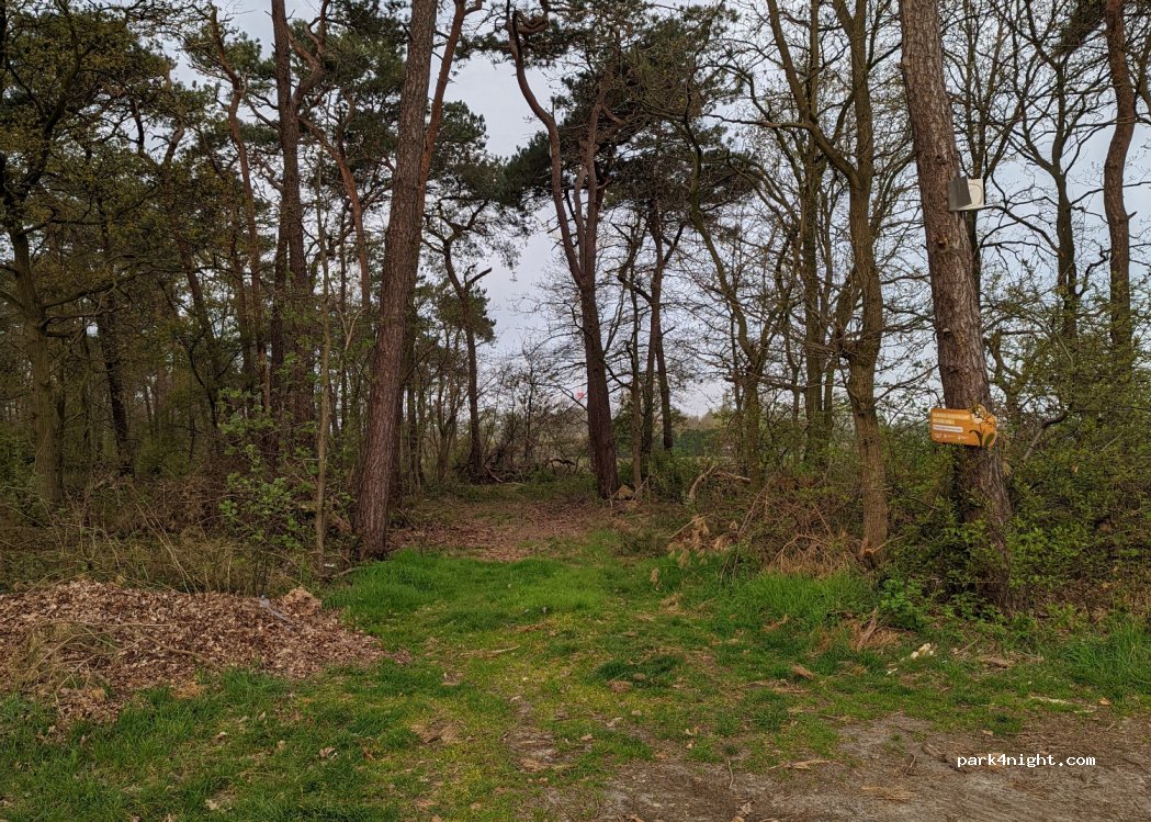 (2321) Hoogstraten - Scheurdekousweg — foto 3
