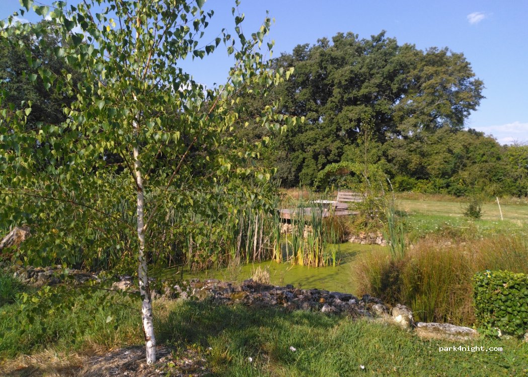 (86260) Saint-Pierre-de-Maillé - Les Cagoulières — foto 2