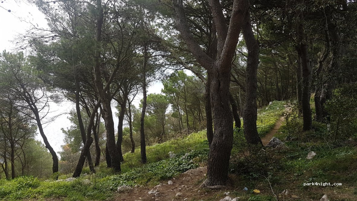 (80061) Massa Lubrense - Unnamed Road — foto