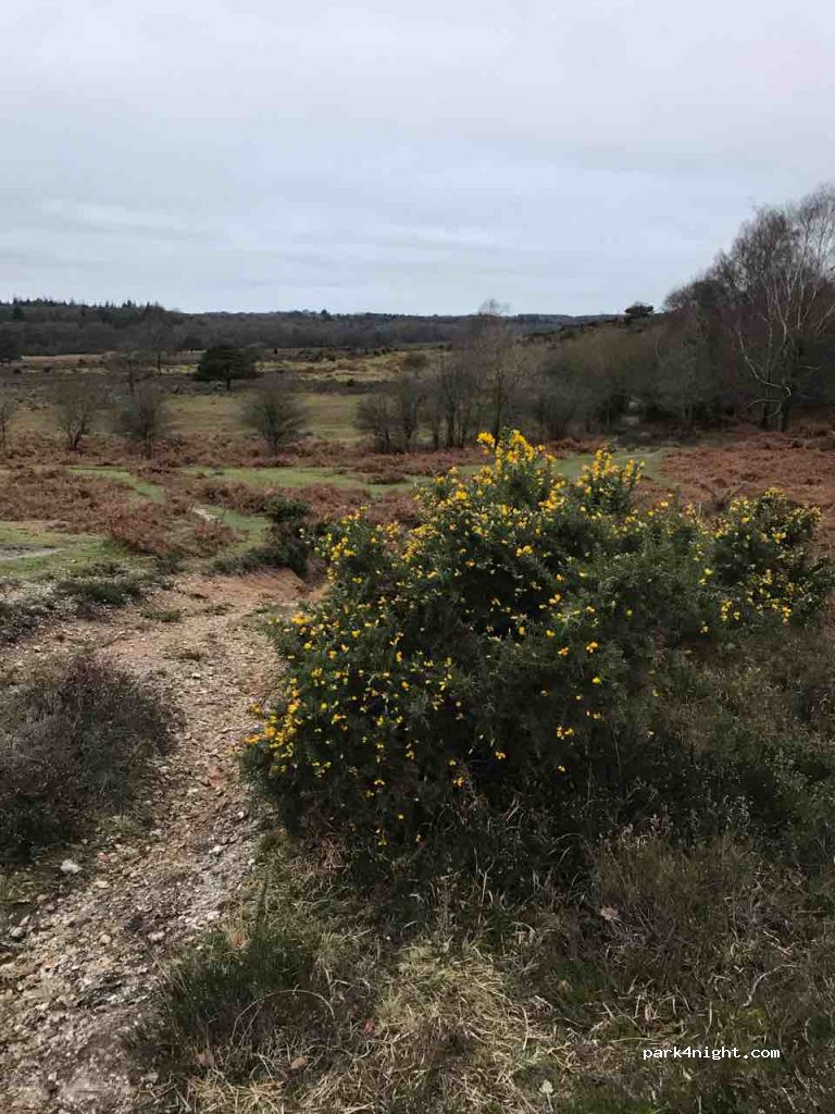 Setthorns Campsite — foto 2