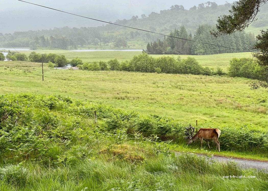 (PA36 4AH)  - West Highland Way — foto 2