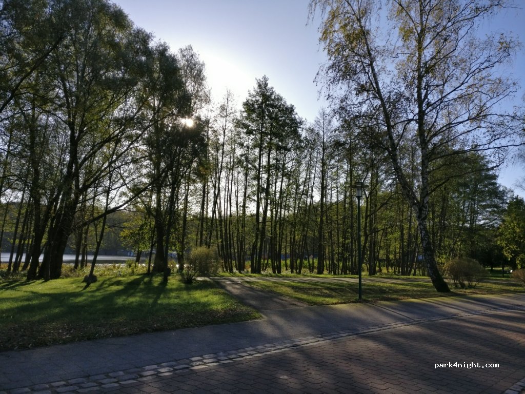(17258) Feldberger Seenlandschaft - 4P Weidendamm — foto