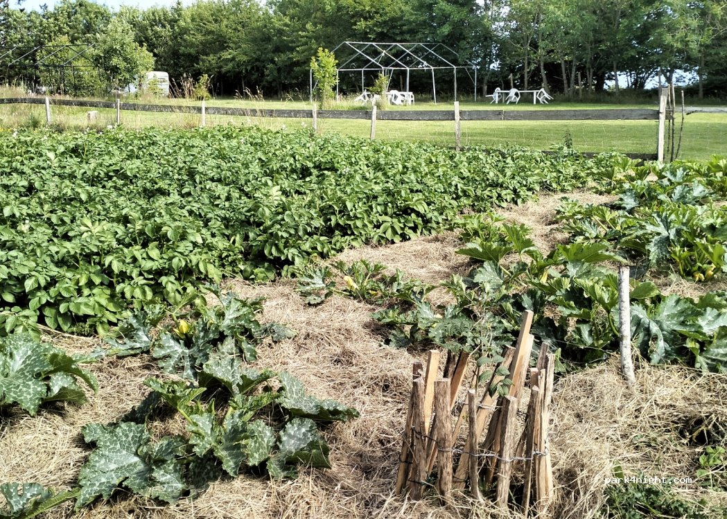 Aire Naturelle de Camping Océ'âne — foto 4