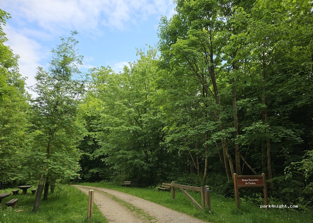 (27480) Lyons-la-Forêt - Rue de Besguay — foto 5