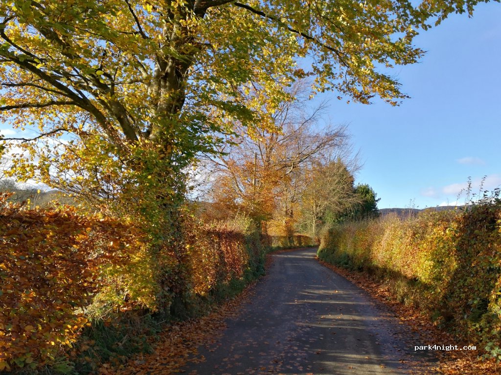 Bala Camping and Caravanning Club Site — foto