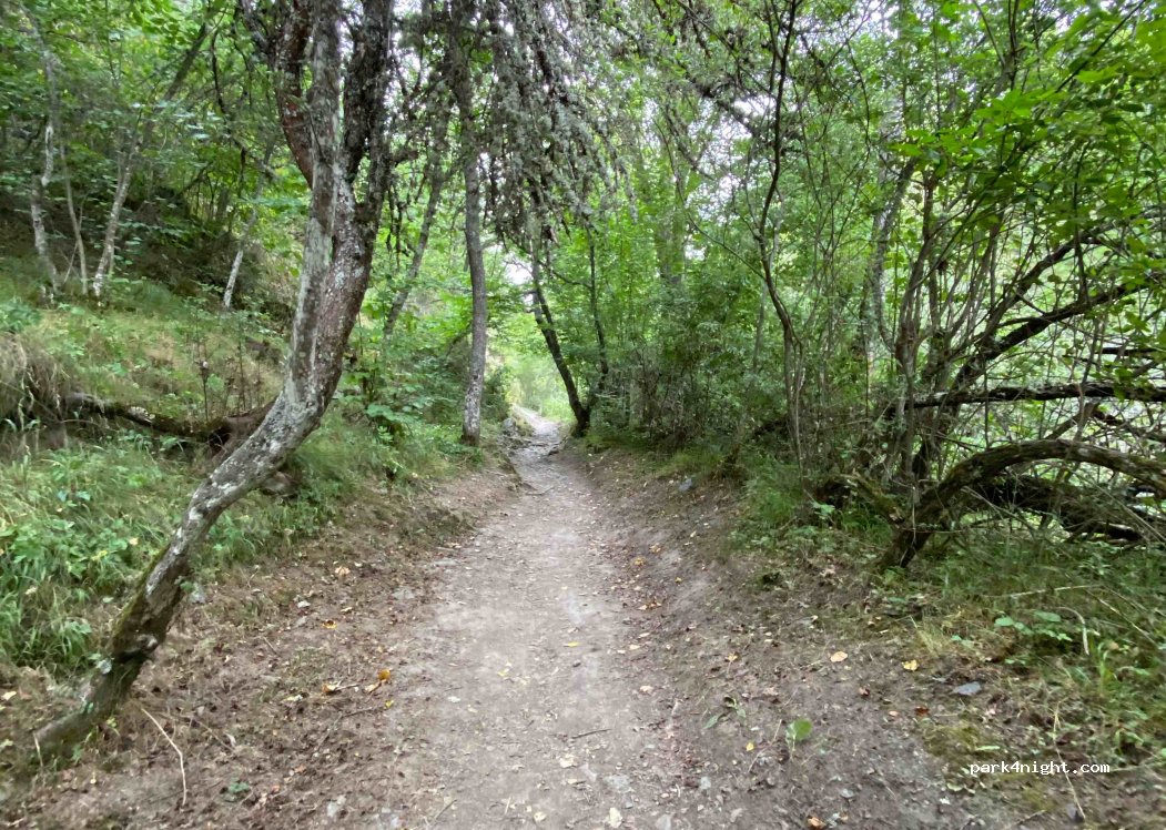 Camping Fuentes Carrionas — foto 2