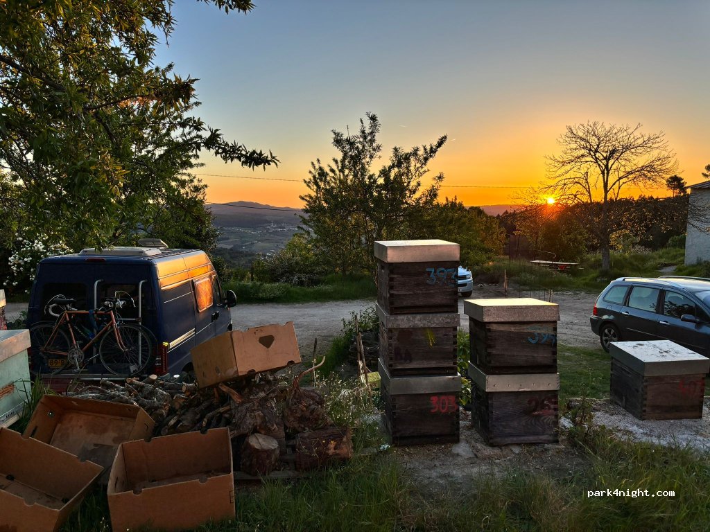 Apibericos — foto 4