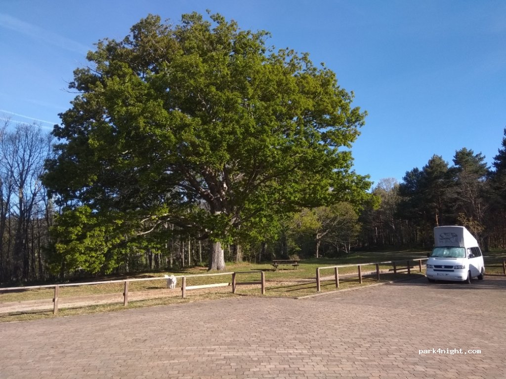 (09568) Quintanilla del Rebollar - 92 Diseminado Qlla Rebolla — foto 2