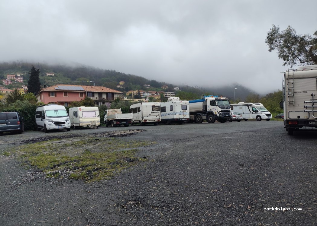 (16016) Sciarborasca - — foto 3