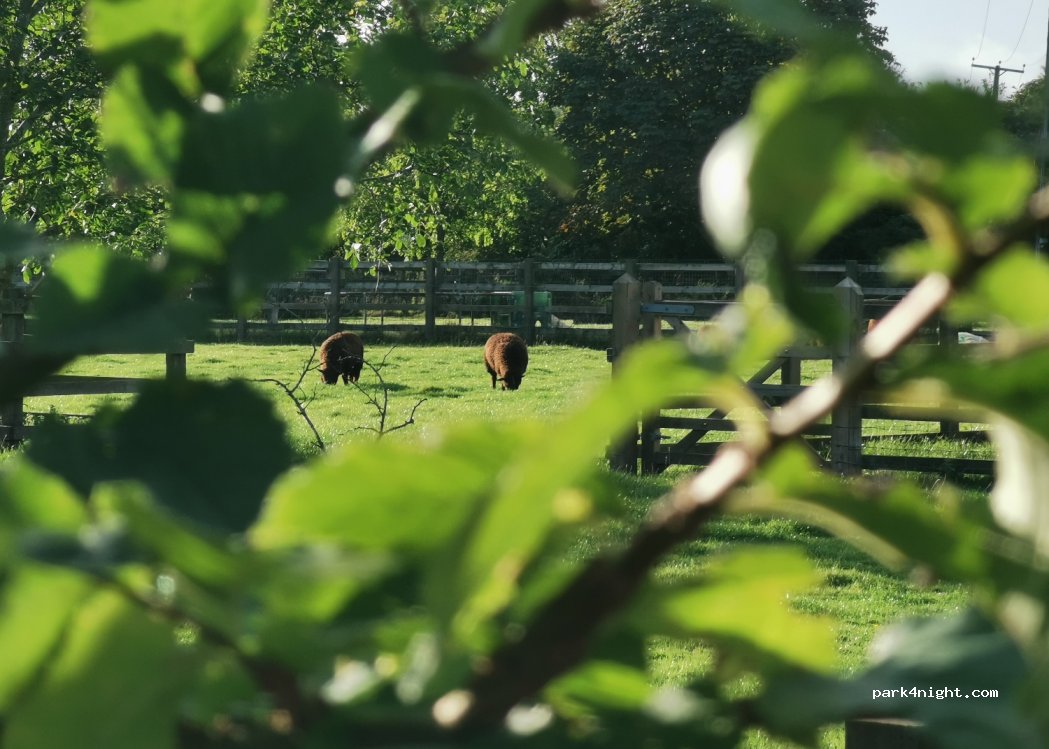 Meadow View Farm — foto 2