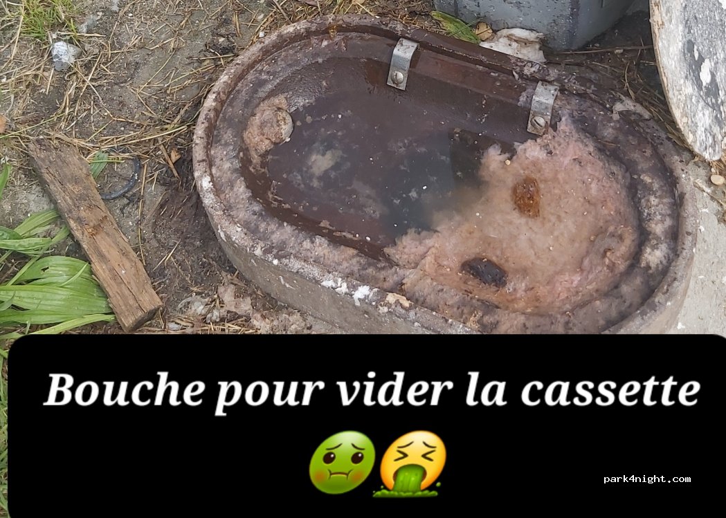 (33510) Andernos-les-Bains - Port ostréicole — foto 4