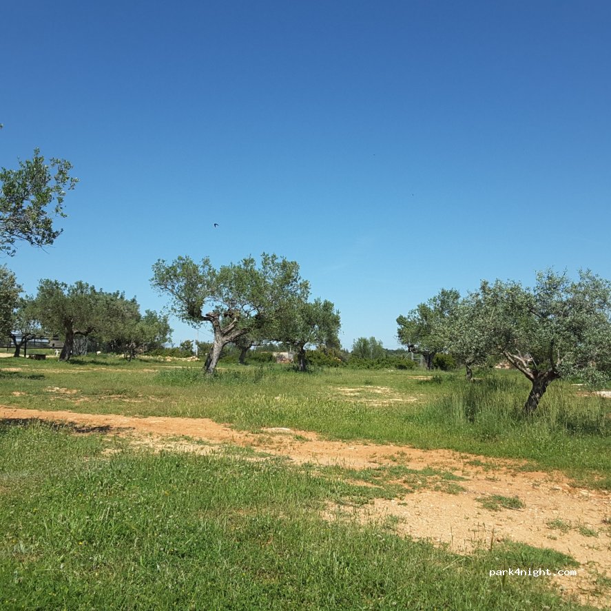 Chellanatura - bemiddeling van aankoop huis in Spanje. — foto 2