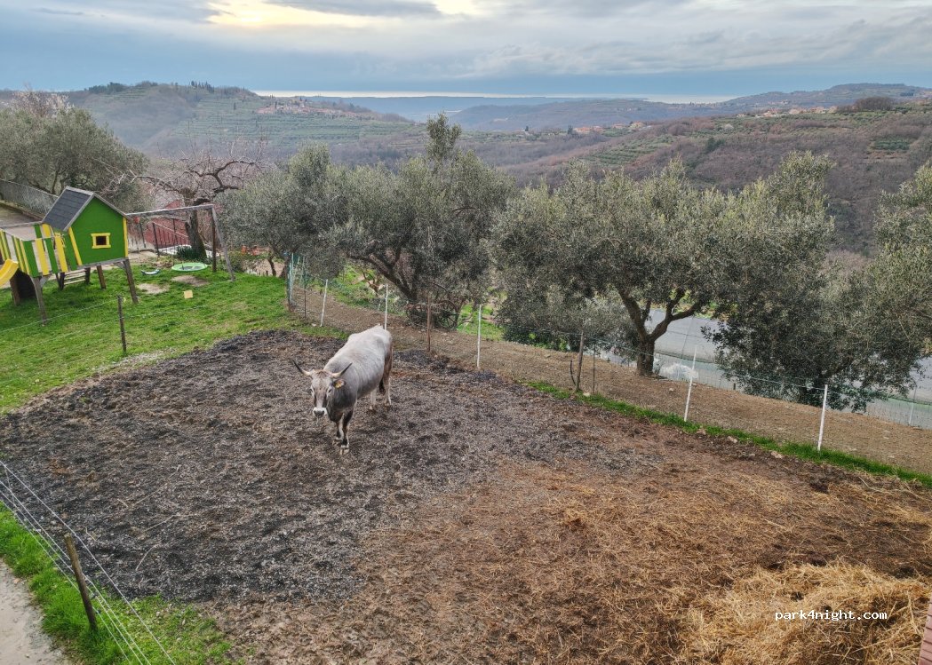 Tourist farm Robivera — foto 4