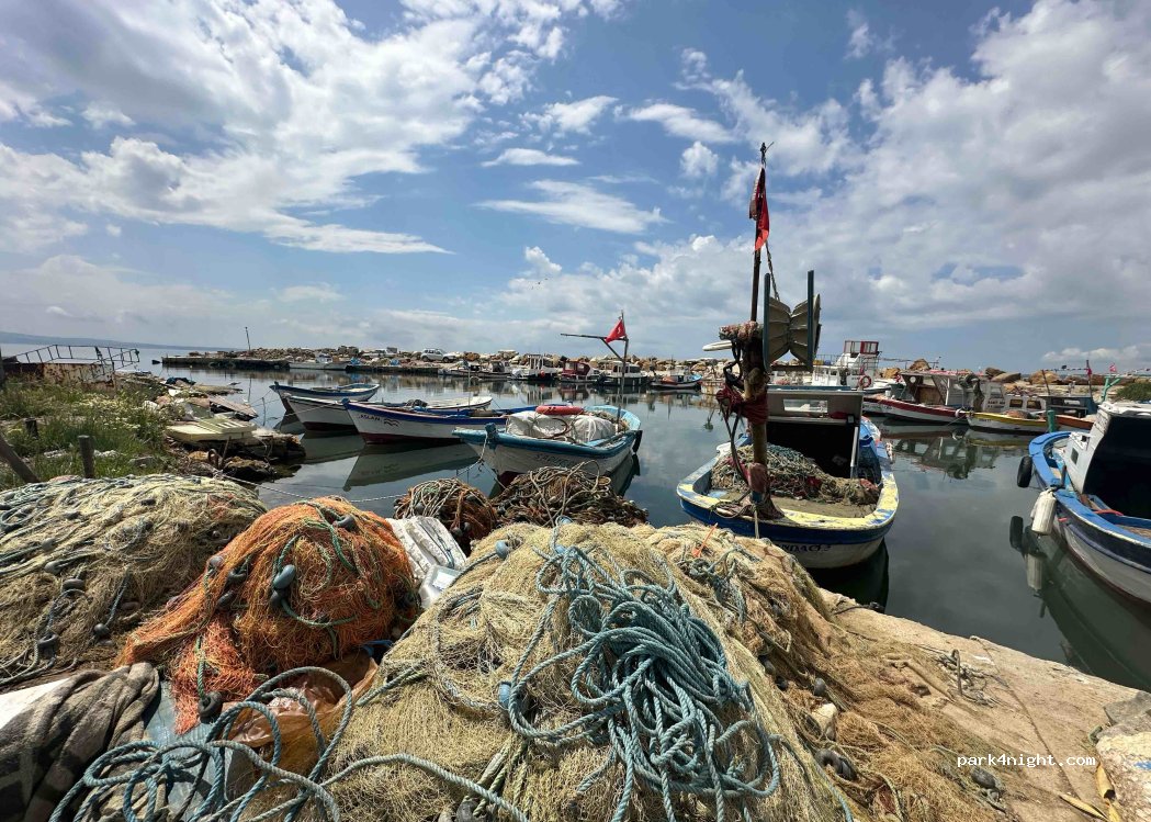 (17360)  - Kocaçeşme Köyü İç Yolu — foto 3
