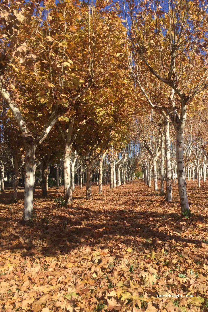 (28630) Villa del Prado - Camino Ermita de Nuestra Señora de la Poveda — foto 3