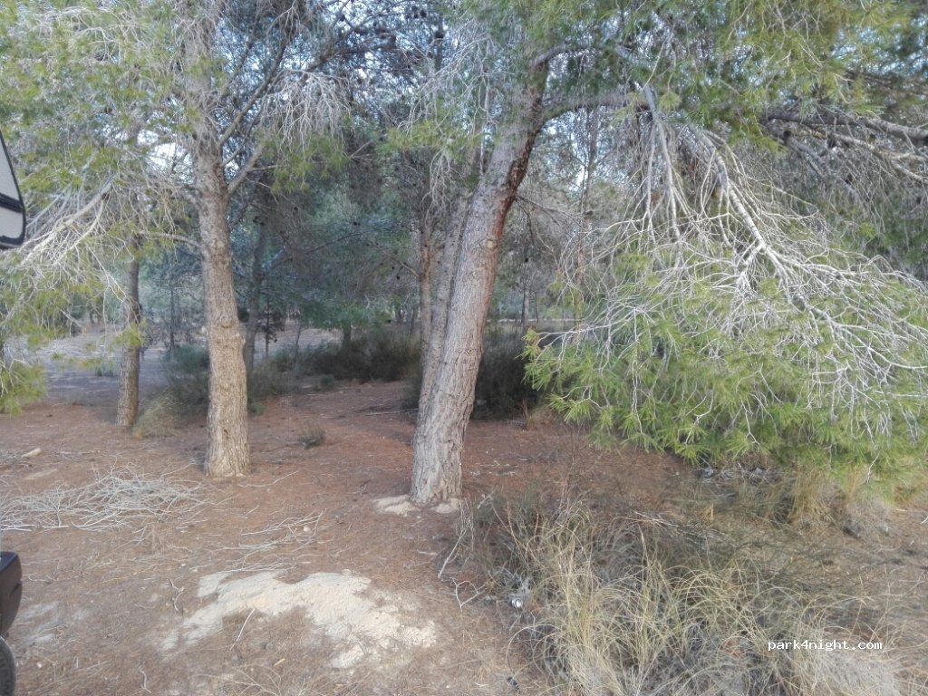 (30870) Mazarrón - Calle Helecho — foto 2