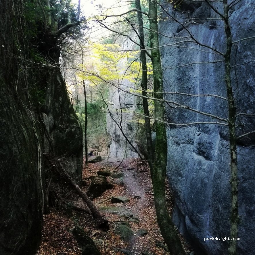 (17510) Ripoll - Unnamed Road — foto 3