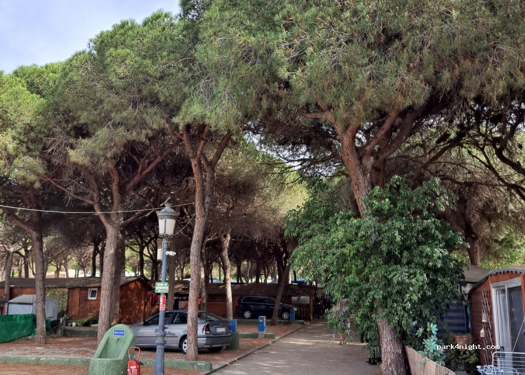 Camping Los Jarales — foto 3