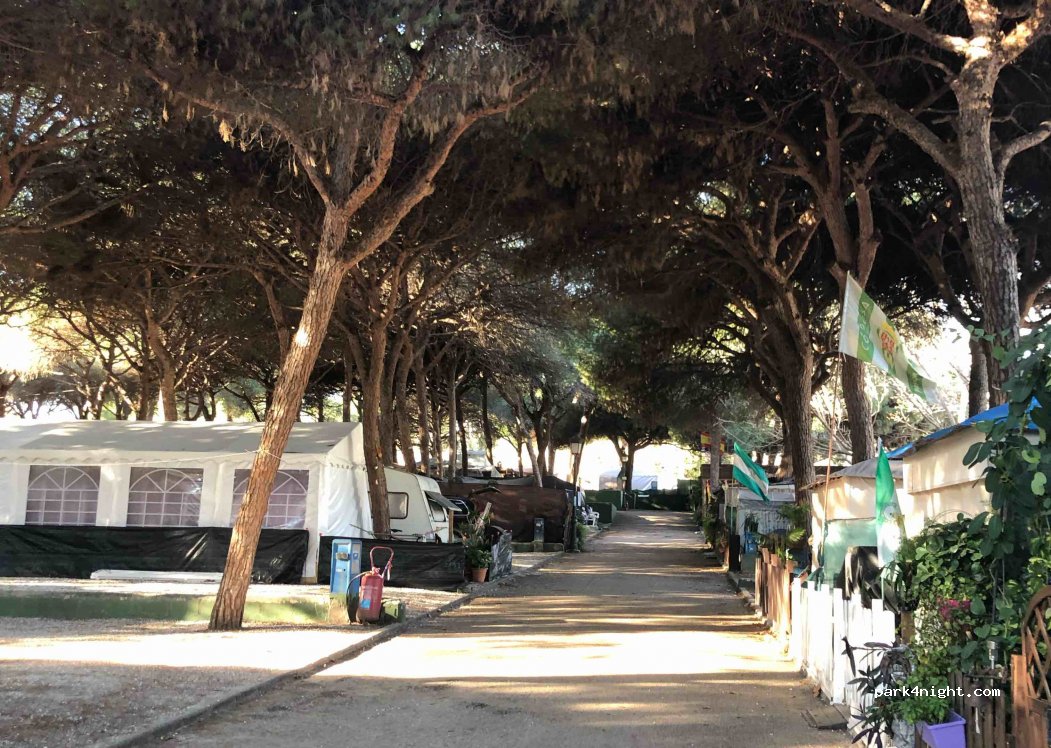 Camping Los Jarales — foto 4