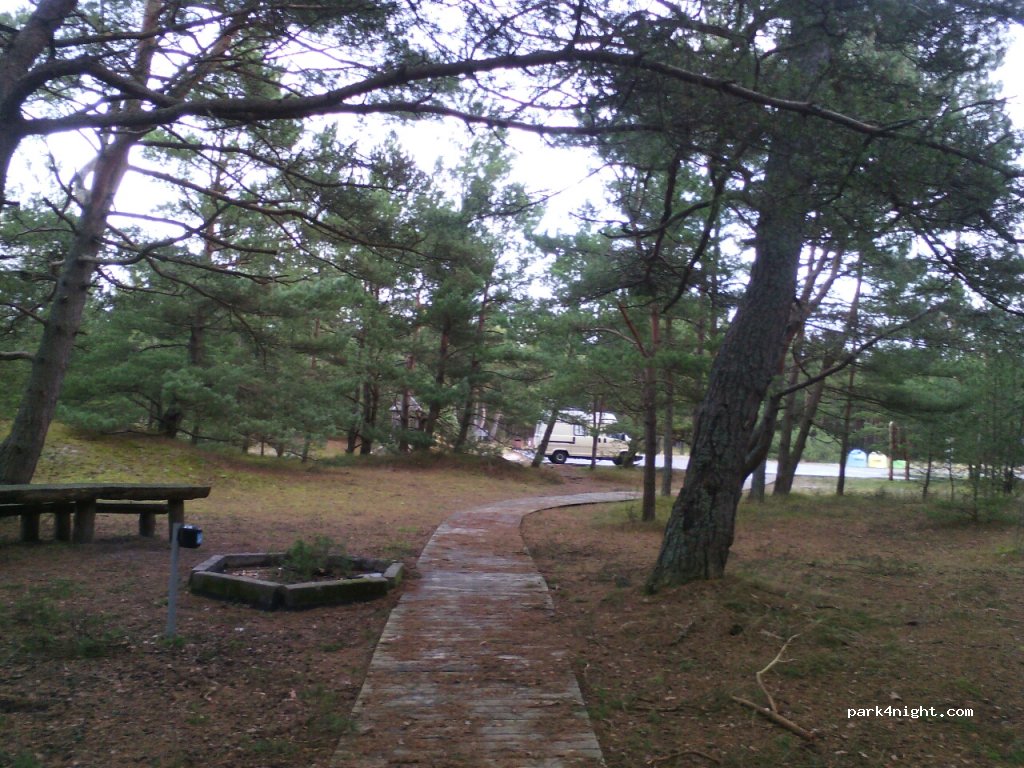 (93125) Beach Of Nida - Nidos-Smiltynės plentas — foto